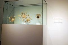 gallery1