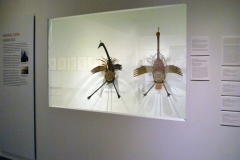 gallery5